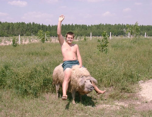 Фотоподборка (дальше в развёрнутом виде)