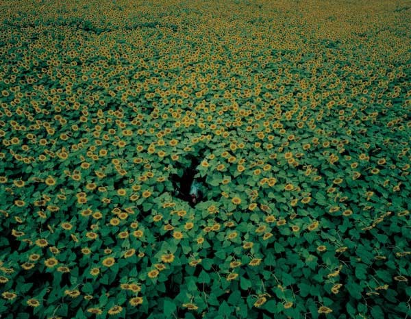 ������ Izuma Kaoru,������� �� ������� (26 ����)