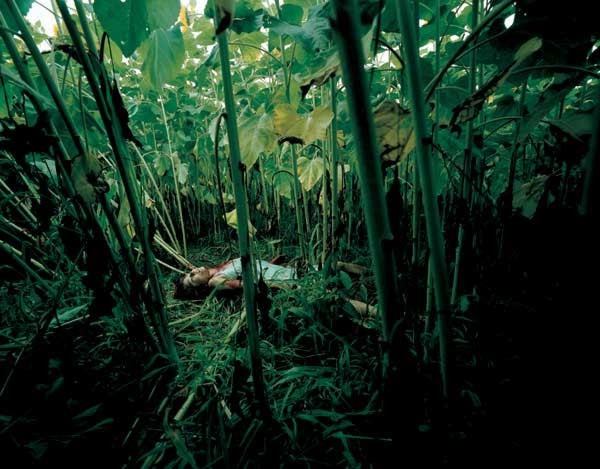 ������ Izuma Kaoru,������� �� ������� (26 ����)