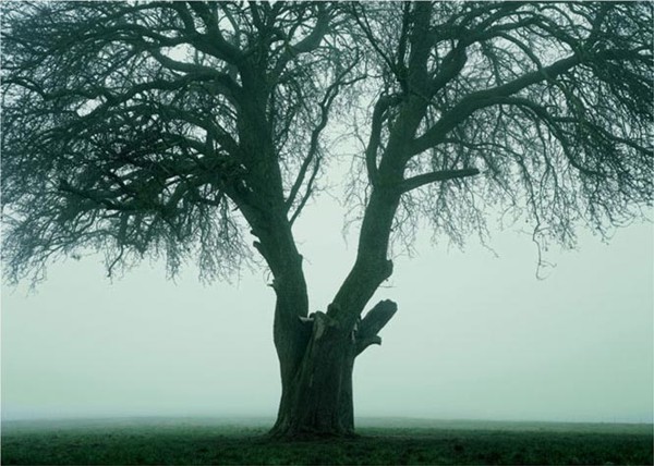 ������ Izuma Kaoru,������� �� ������� (26 ����)