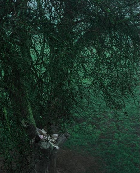 ������ Izuma Kaoru,������� �� ������� (26 ����)