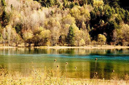  Jiuzhaigou -   (17 )