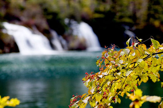  Jiuzhaigou -   (17 )