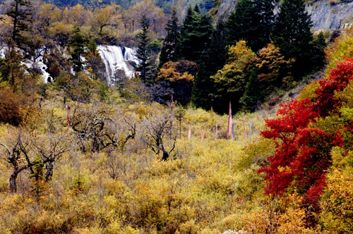  Jiuzhaigou -   (17 )