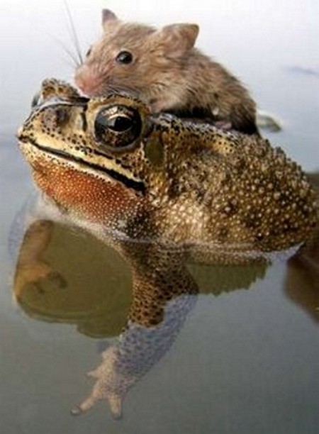  (   )