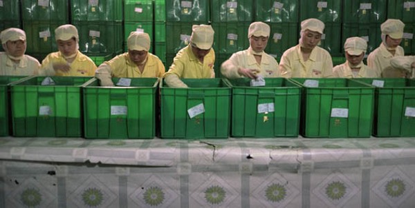 ��� ��� �������� ������� �� ������������ ������� � ����� (17 ����)