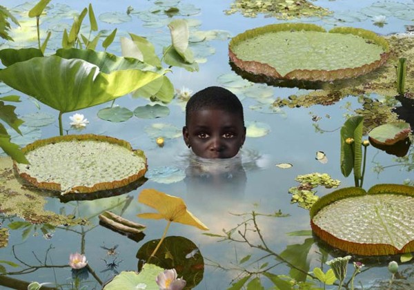   Ruud van Empel (10 )