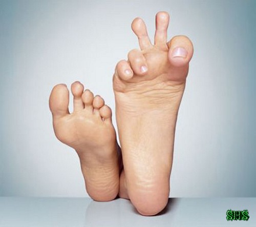  (   )