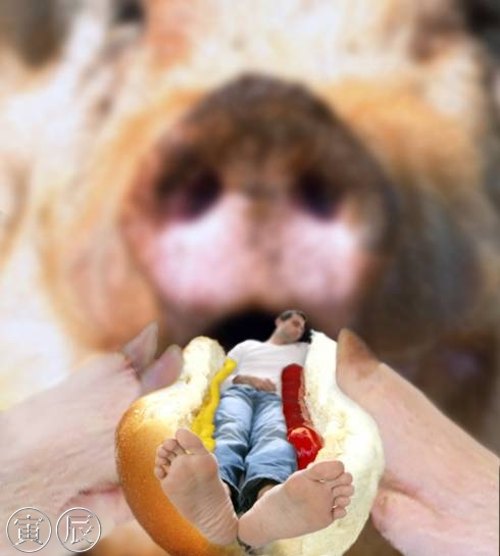  (   )