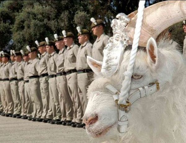 ������������ (������ � ���������� ����)