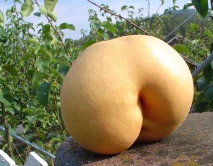  (   )