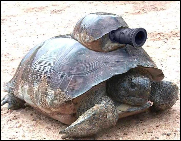 Фотоподборка (дальше в развёрнутом виде)
