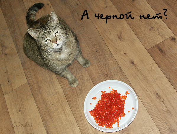 Фотоподборка (дальше в развёрнутом виде)
