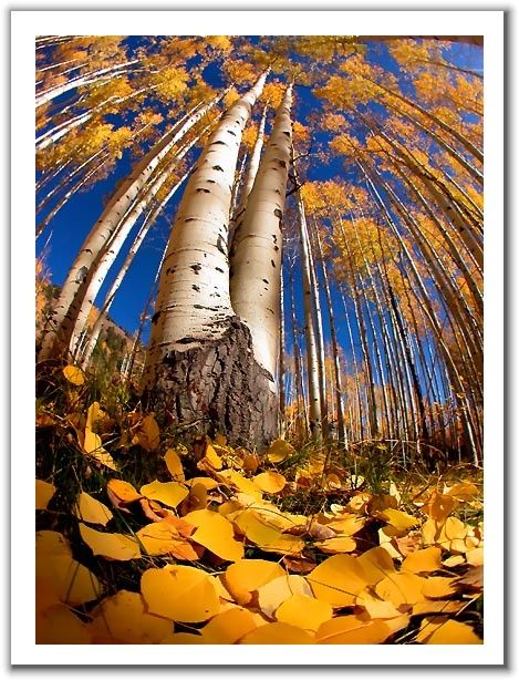Фотоподборка (дальше в развёрнутом виде)