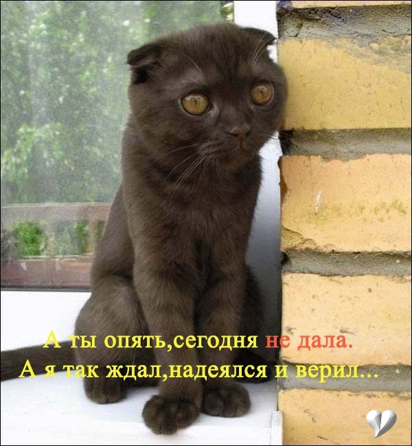Фотоподборка (дальше в развёрнутом виде)