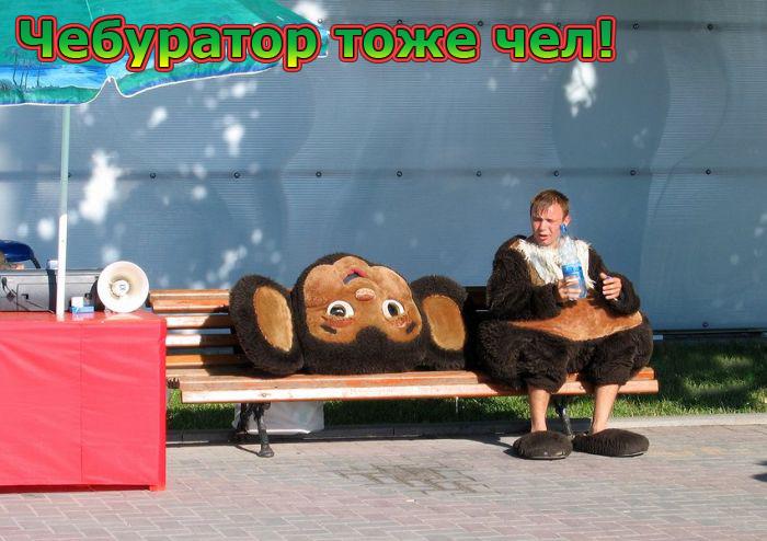 Фотоподборка (дальше в развёрнутом виде)