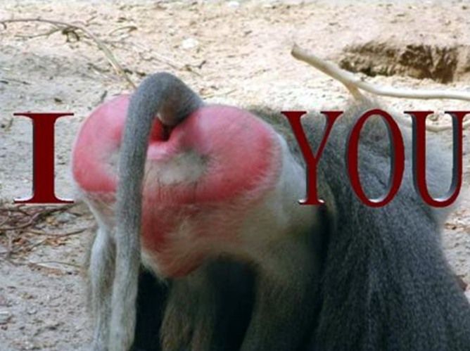  (   )