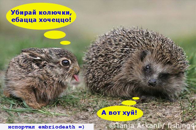 Фотоподборка (дальше в развёрнутом виде)