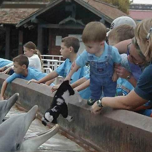 Фотоподборка (дальше в развёрнутом виде)