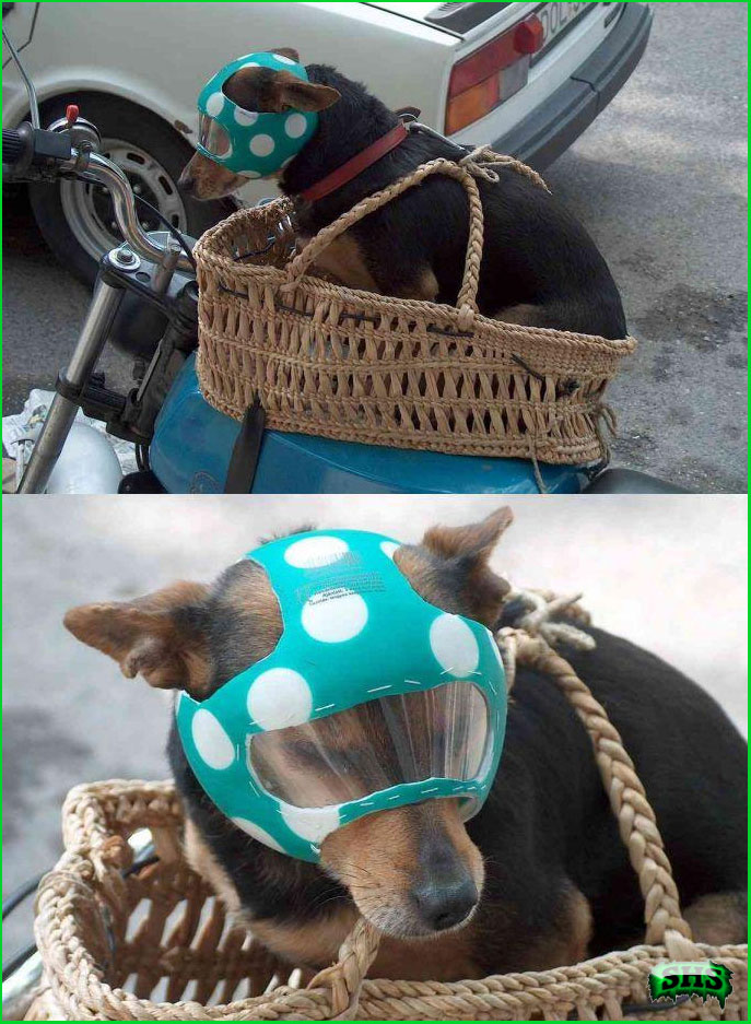 Фотоподборка (дальше в развёрнутом виде)