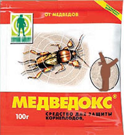 Фотоподборка (дальше в развёрнутом виде)
