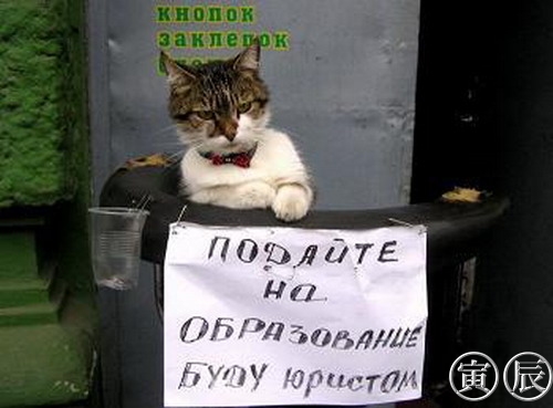 Фотоподборка (дальше в развёрнутом виде)
