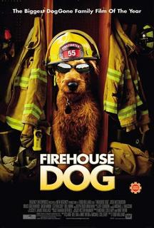   / Firehouse Dog