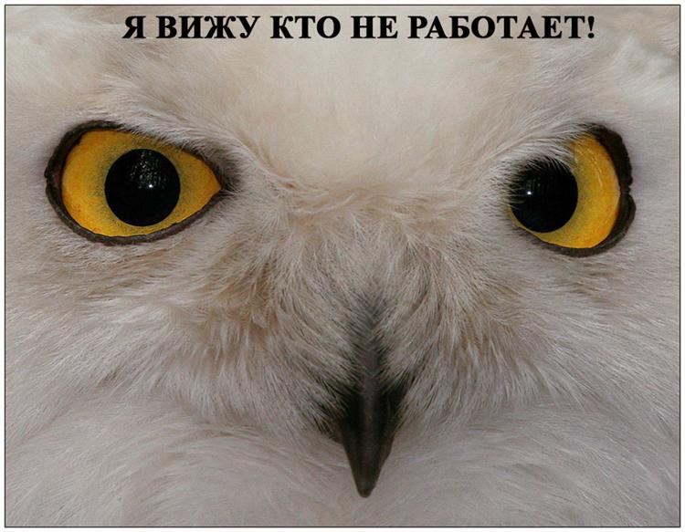 , , ,  :) (5 )