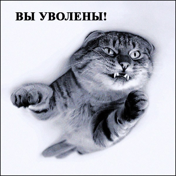 , , ,  :) (5 )