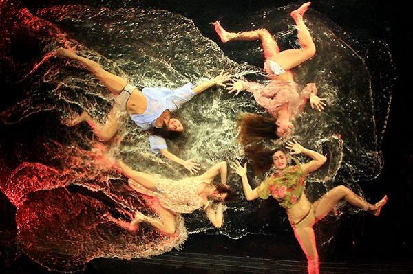 Fuerzabruta   (9 )