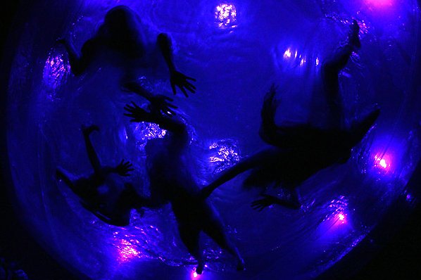 Fuerzabruta в Берлине (9 фото)
