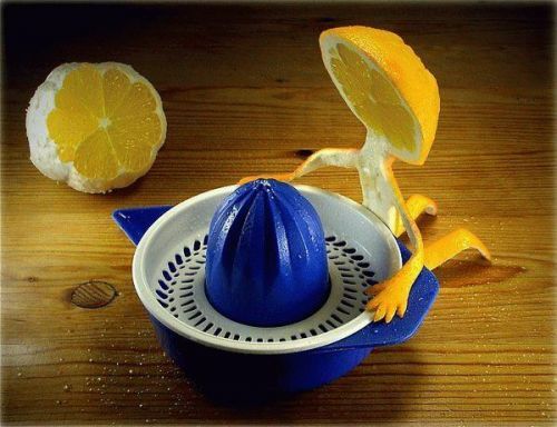 Фотоподборка (дальше в развёрнутом виде)