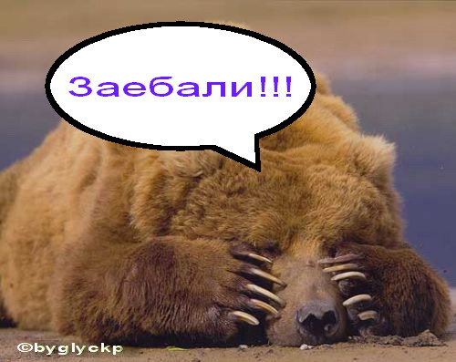 ������������ (������ � ���������� ����)