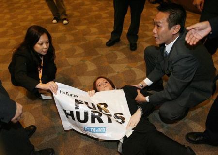  Peta        Hong Kong Fall (9 )
