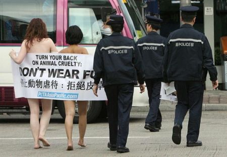  Peta        Hong Kong Fall (9 )