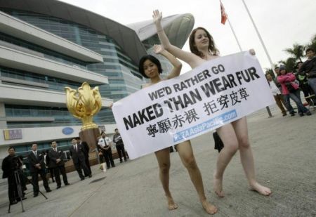  Peta        Hong Kong Fall (9 )