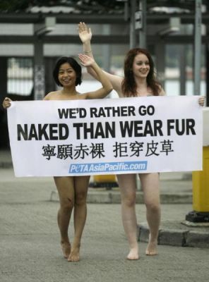 Peta        Hong Kong Fall (9 )