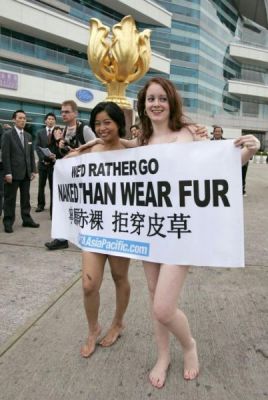 Peta        Hong Kong Fall (9 )