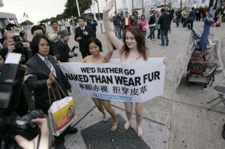  Peta        Hong Kong Fall (9 )