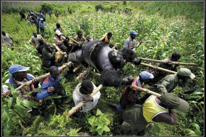      2007 .  WORLD PRESS PHOTO (23 )