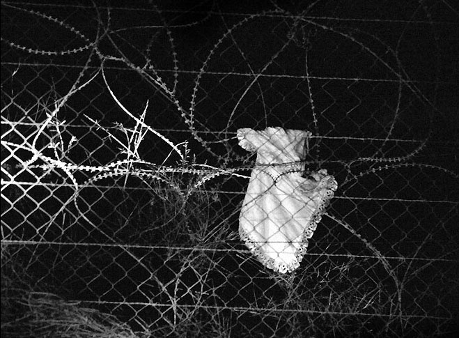      2007 .  WORLD PRESS PHOTO (23 )