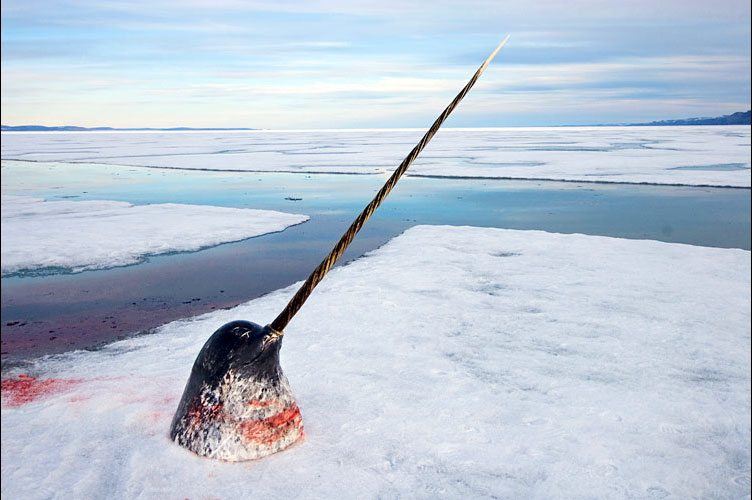      2007 .  WORLD PRESS PHOTO (23 )