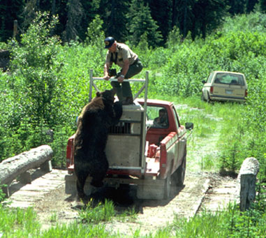 Хотели выпустить на волю... (10 фото)