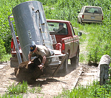 Хотели выпустить на волю... (10 фото)