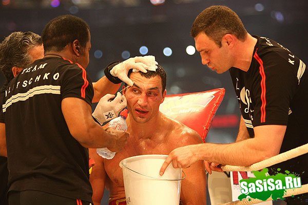       WBO (9 )