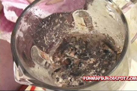 Японцы-чудаки однозначно!:) (9 фото)