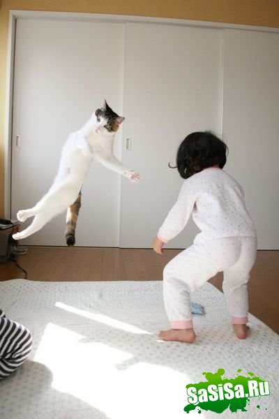  (   )