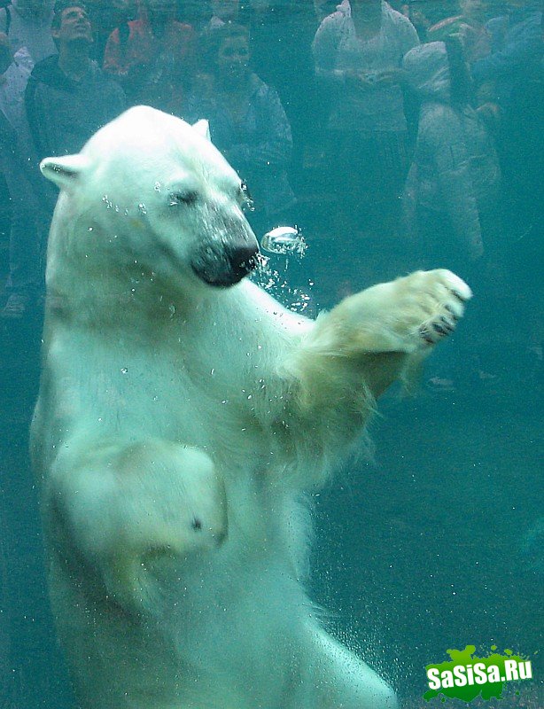 Очень милый и позитивный пост! (14 фото)