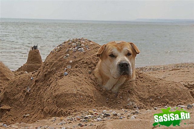 Фотоподборка (дальше в развёрнутом виде)