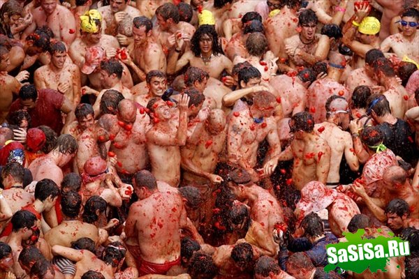     (La Tomatina)   (10 )